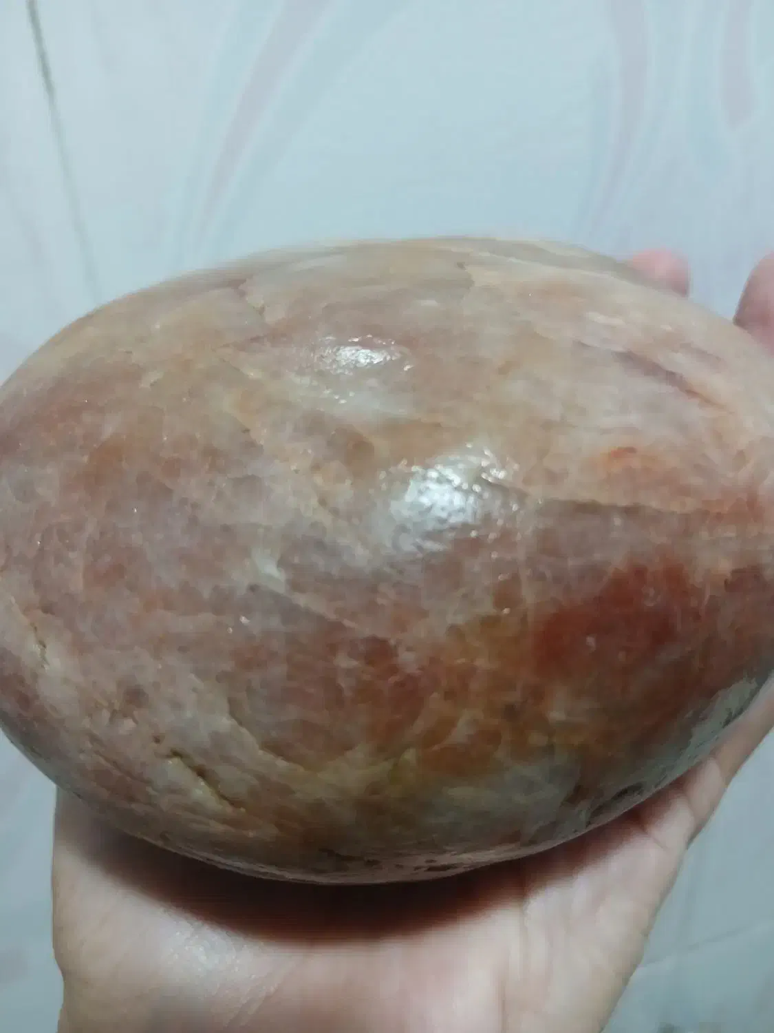 دردل طبیعت|جواهرات|رشت, آزادگان|دیوار