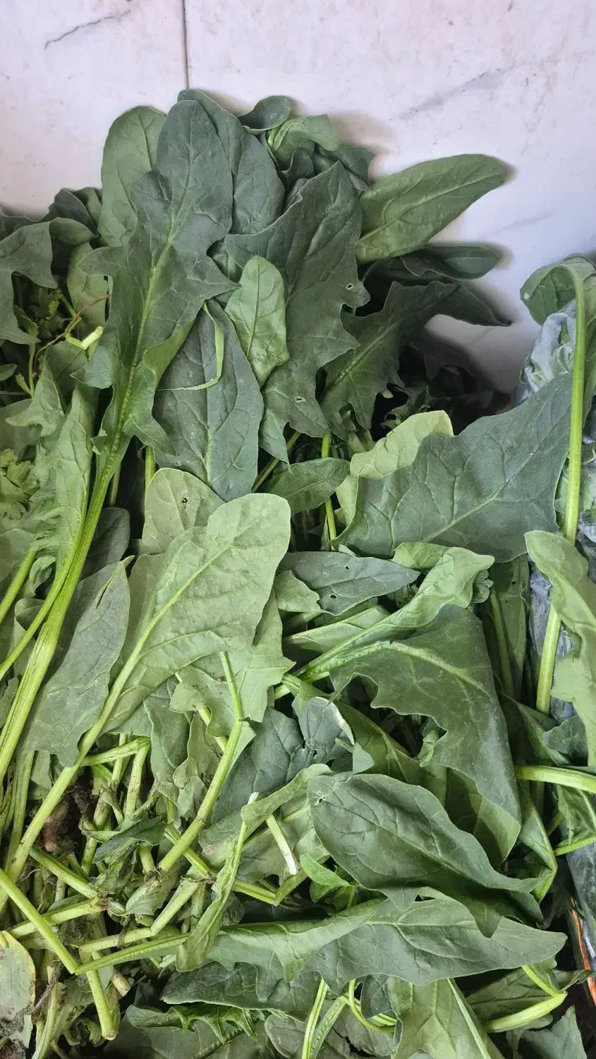 سبزی خورشتی خیرآباد|خوردنی و آشامیدنی|فسا, |دیوار