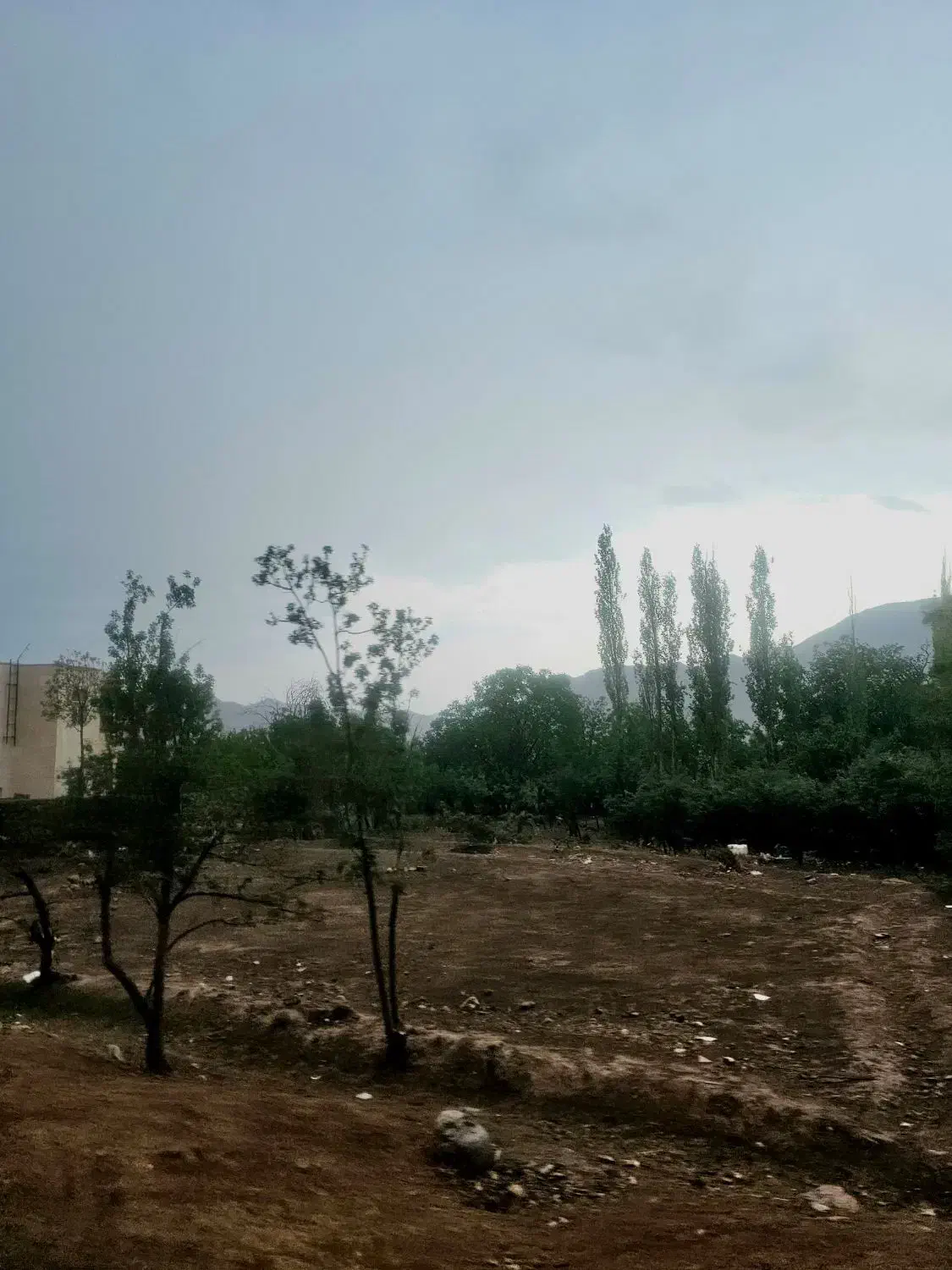 شهمیرزاد زمین ویلایی منطقه پشته( معاوضه )|فروش زمین و ملک کلنگی|شهمیرزاد, |دیوار