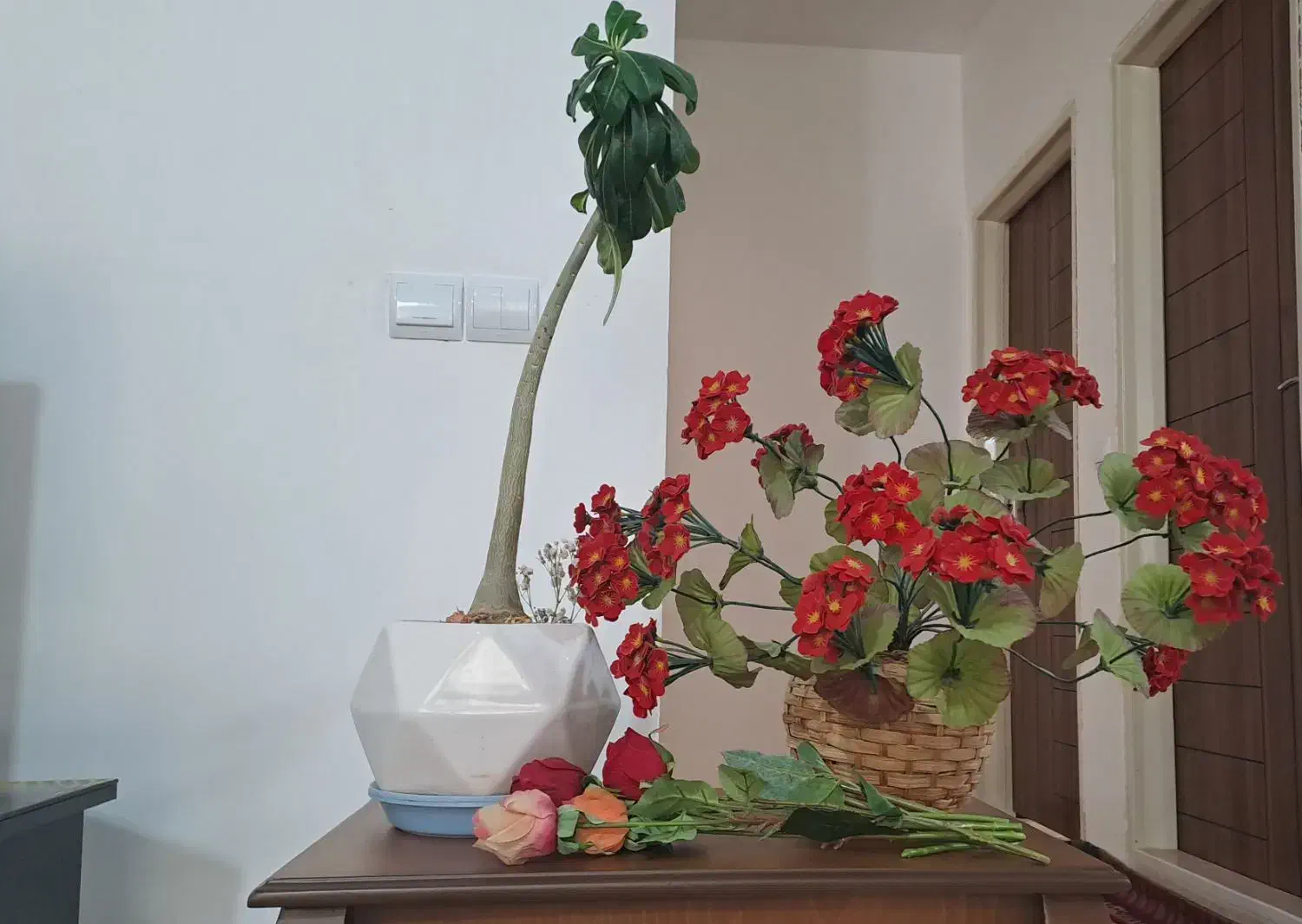 گلدان|گل مصنوعی|زنجان, |دیوار