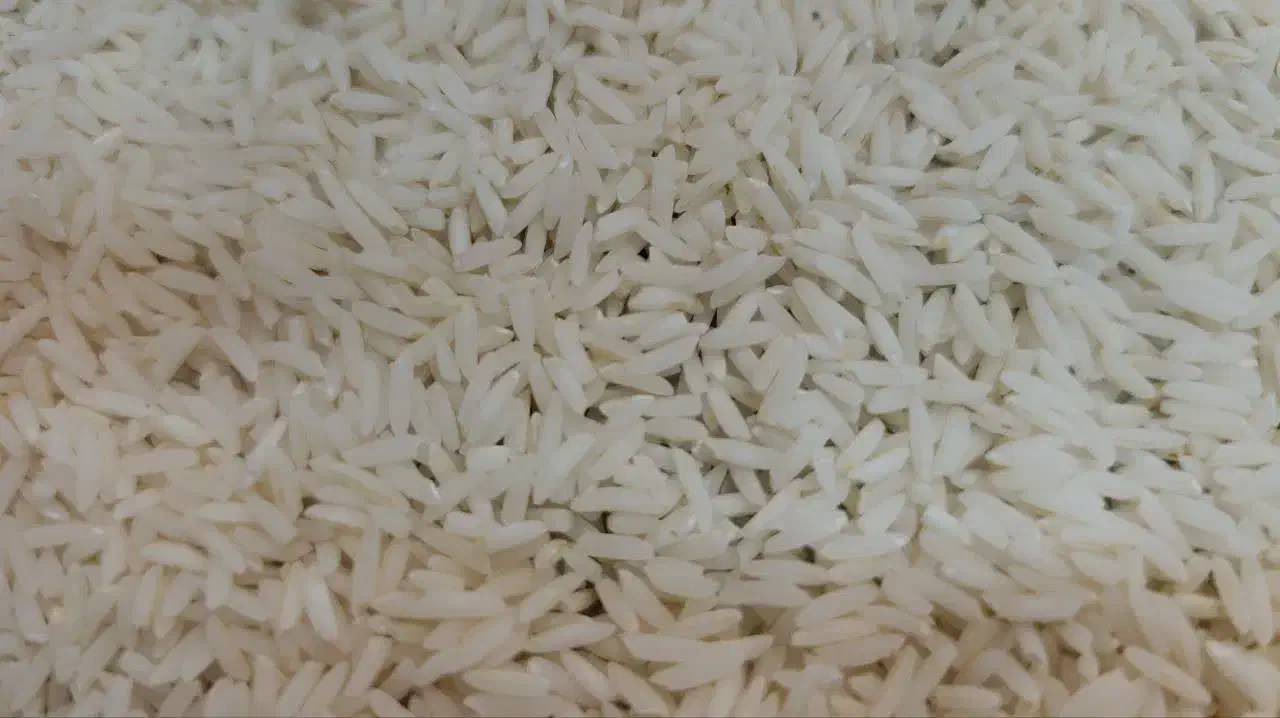 مقدار محدودی برنج هاشمی اعلا خالص|خوردنی و آشامیدنی|اصفهان, دشتستان|دیوار