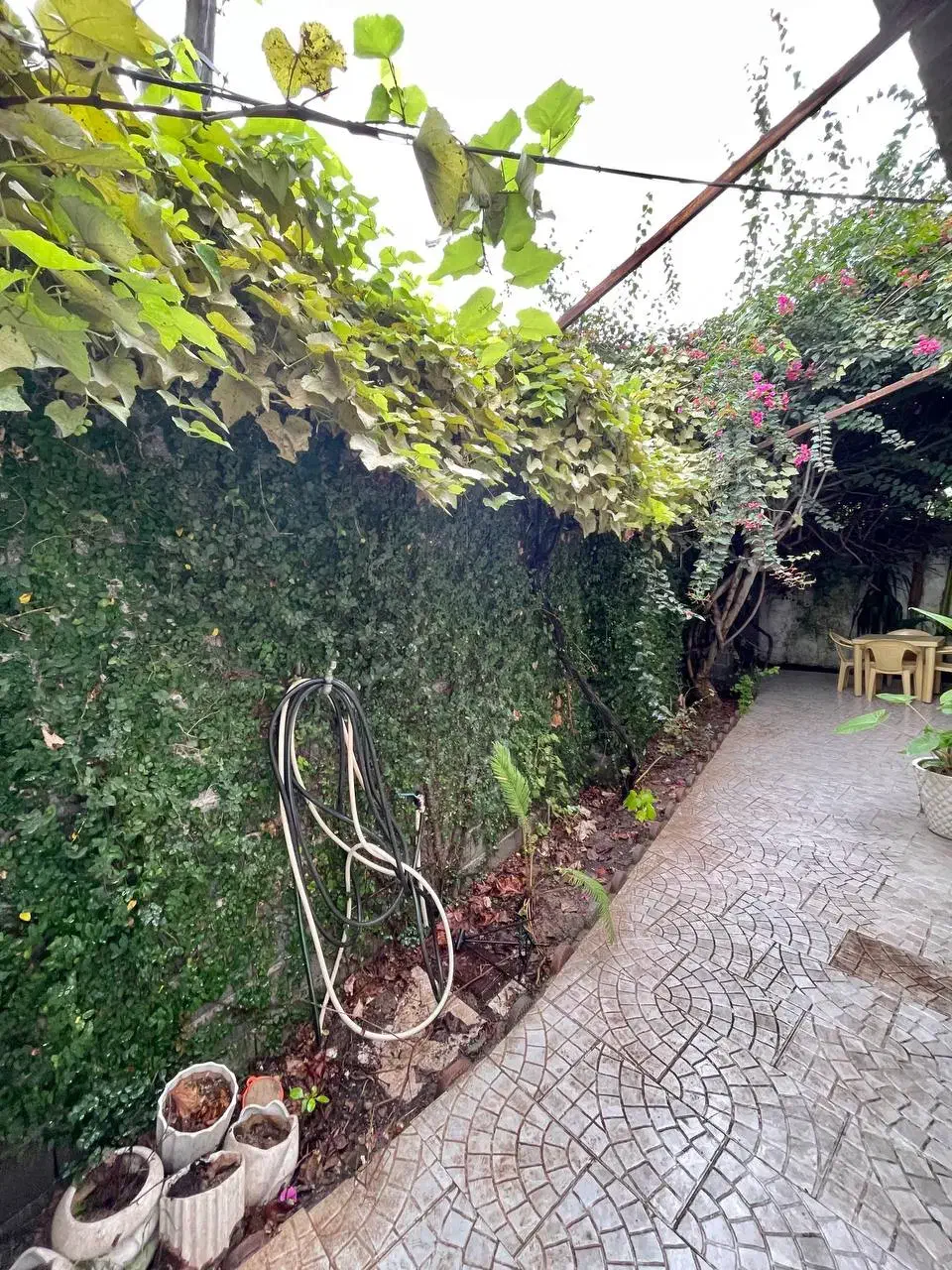 خونه کلنگی قابله استفاده فقط پو*ل زمین بده/نور|فروش زمین و ملک کلنگی|رامسر, |دیوار