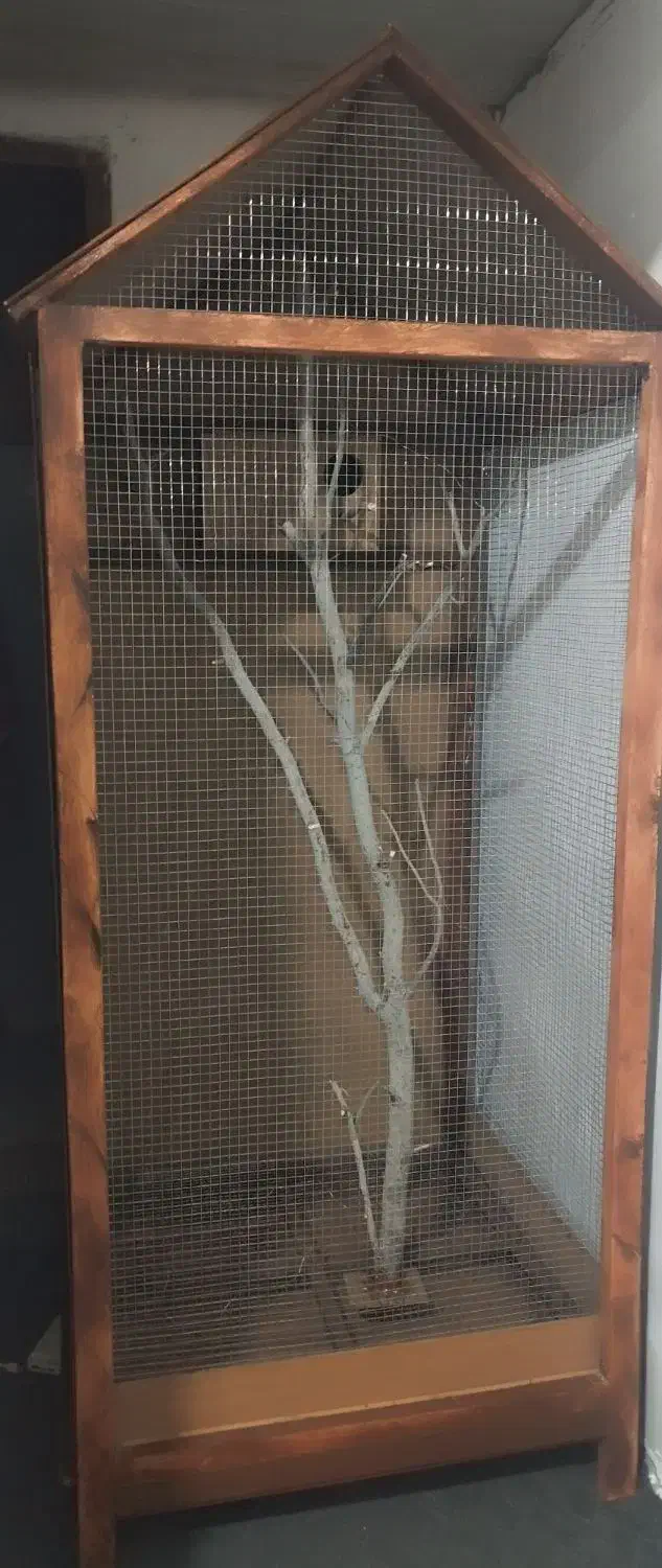 قفس  پرنده چوبی دست ساز|لوازم جانبی حیوانات|سراوان, |دیوار