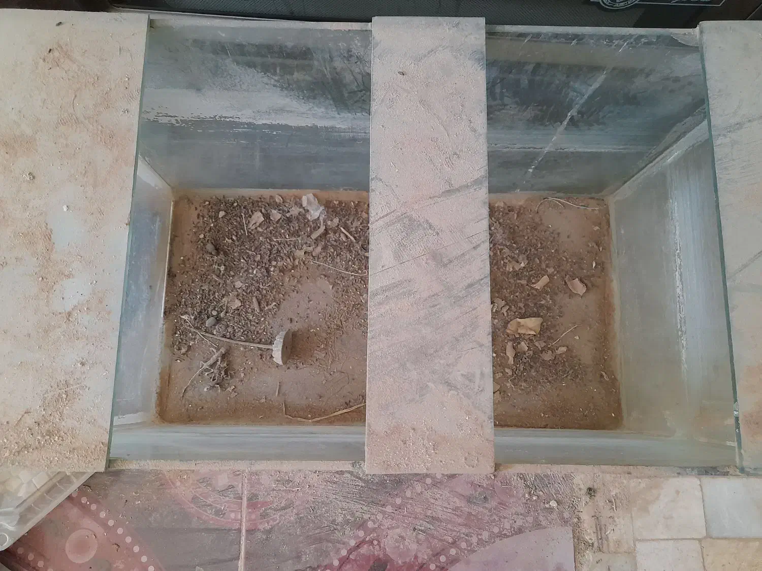 آکواریم سالم|ماهی|میبد, |دیوار