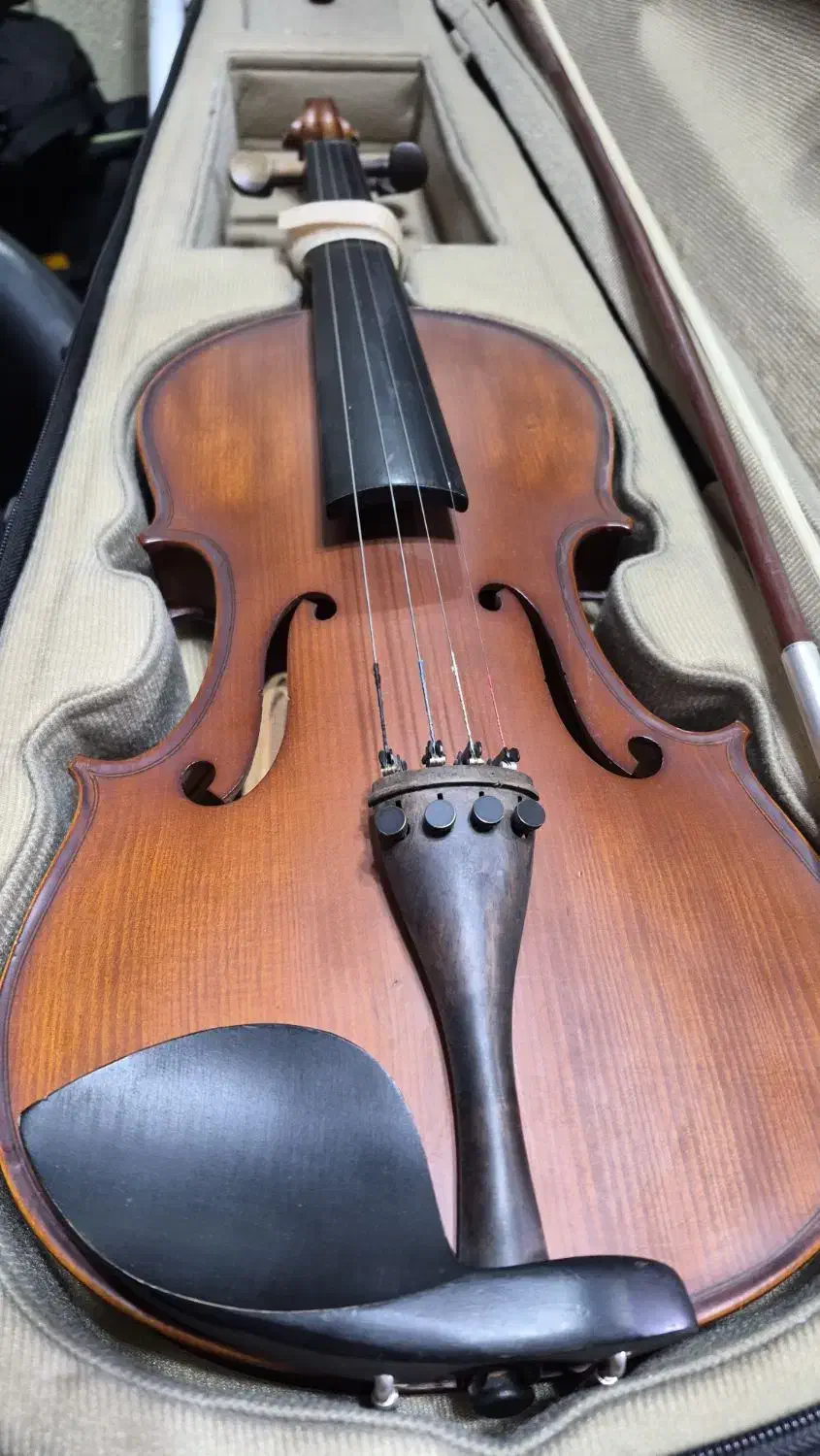 ویالون ۱۴۶tf|ویولن|همدان, |دیوار