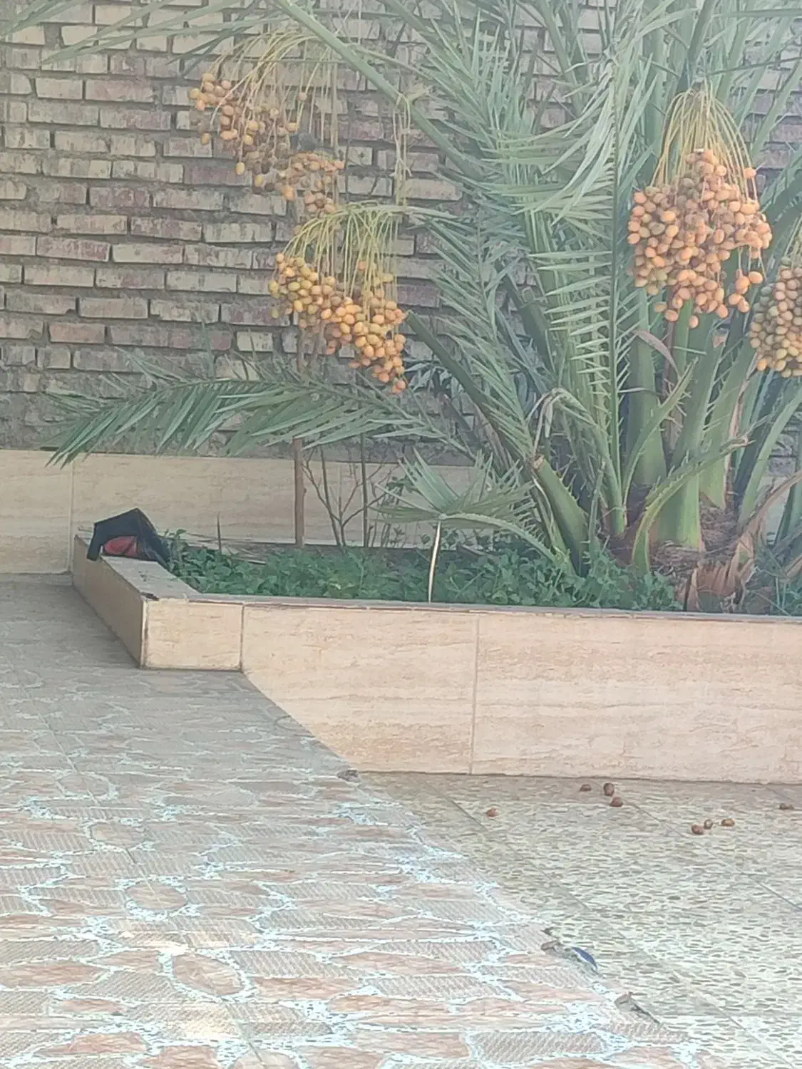 خانه ویلایی واقع در روستای دامغه کوچک|فروش خانه و ویلا|اهواز, غیزانیه|دیوار