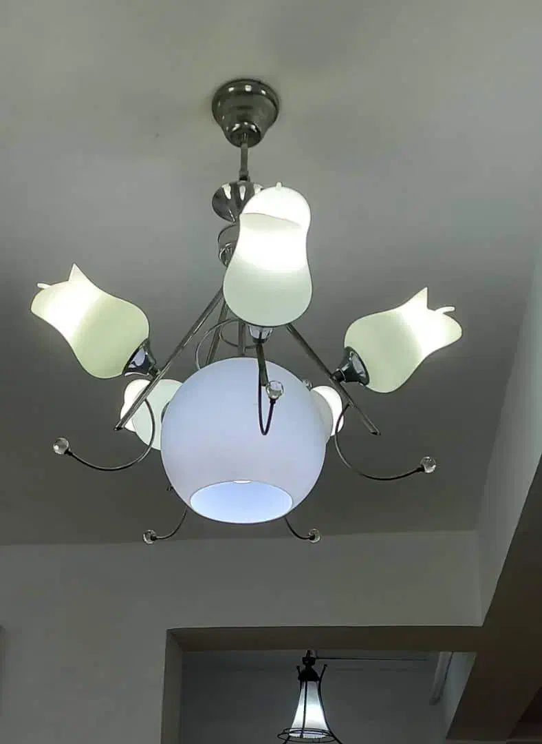 چهار عدد لوستر به همراه آباژور ایستاده|لوستر و چراغ آویز|آستانه اشرفیه, |دیوار