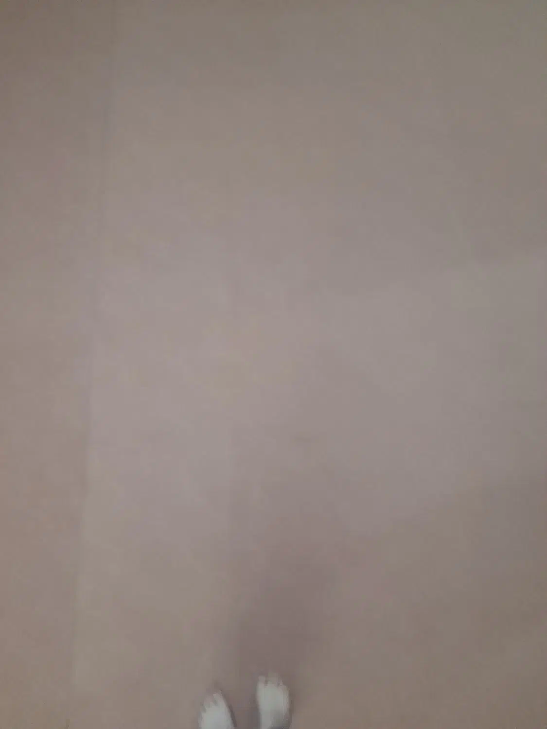 موکت ۳۰ متری|موکت|اصفهان, گلستان|دیوار