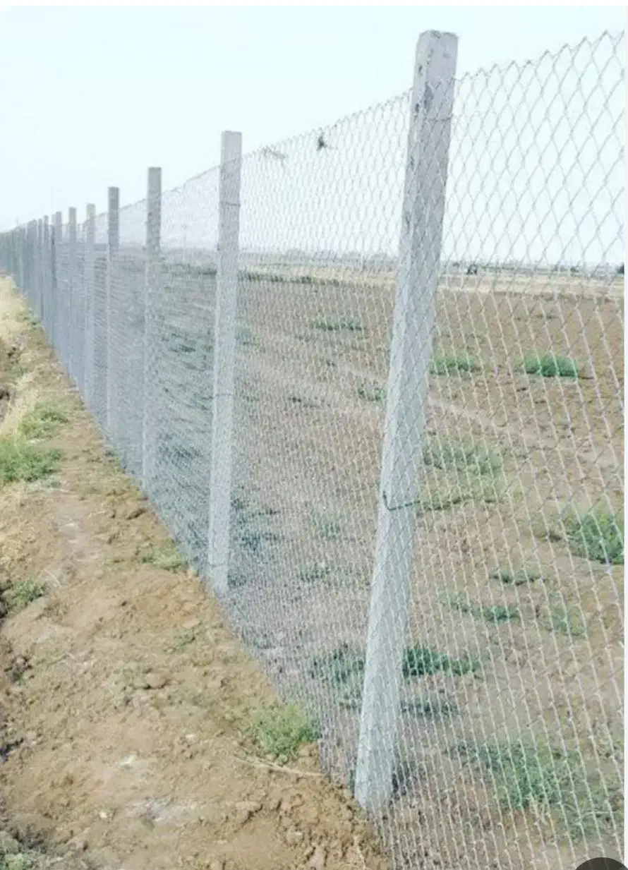 پایه بتنی فنس و انگور|مصالح و تجهیزات ساختمان|جهرم, |دیوار