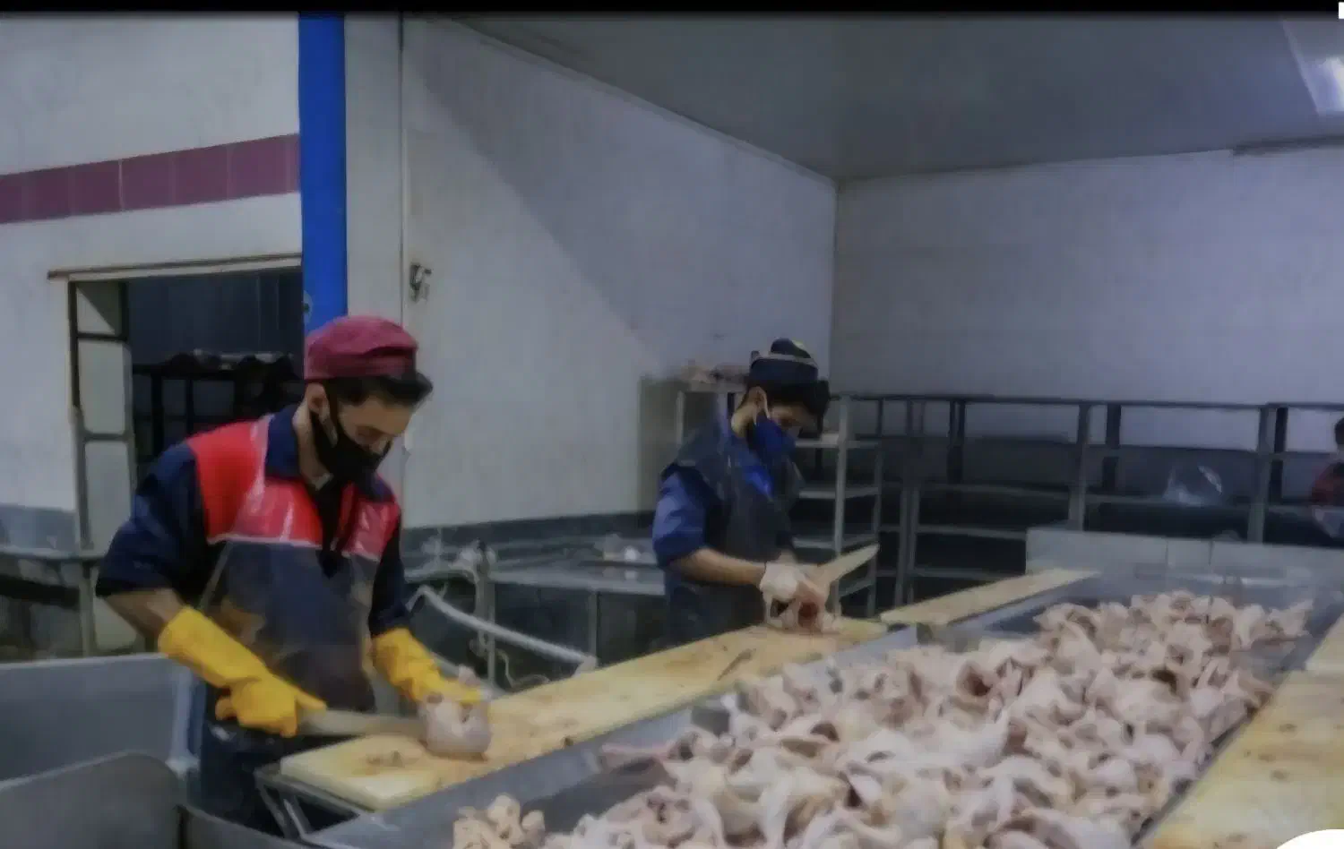 بیخس کاری و قطعه بندی مرغ در کشتارگاه|استخدام خدمات فروشگاه و رستوران|باغستان, |دیوار