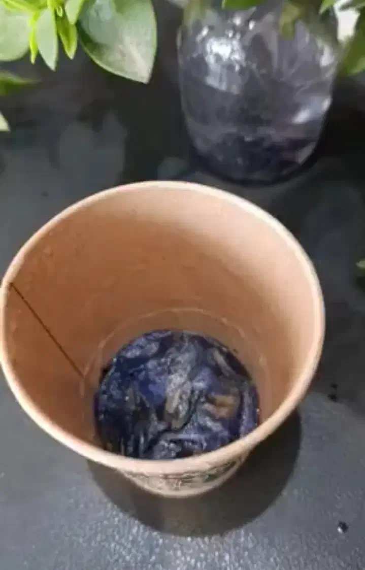 کاپ چای|خوردنی و آشامیدنی|کرج, حسن آباد|دیوار