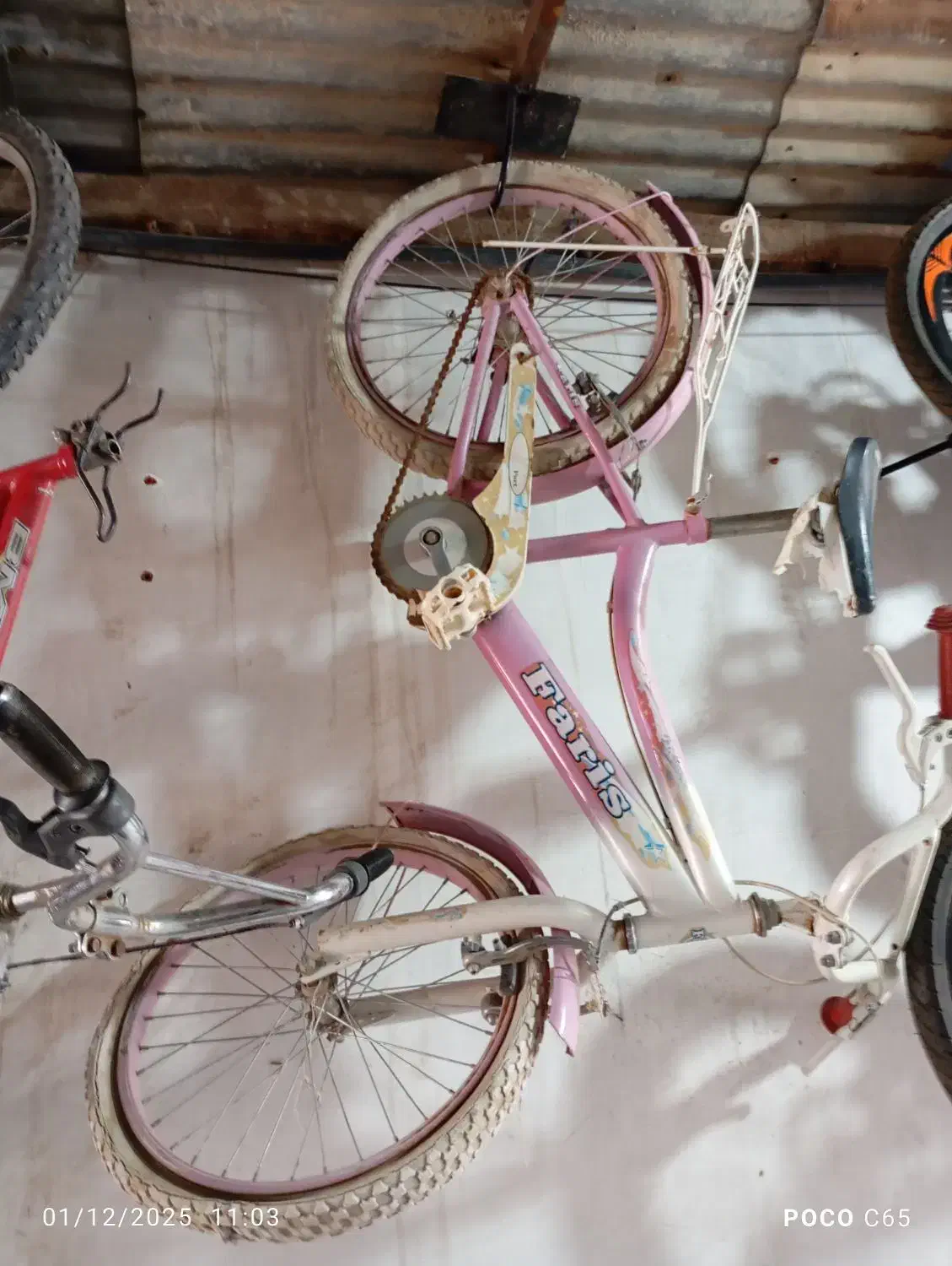 دوچرخه سازی دوچرخه فروشی کوهستان کاشمر|دوچرخه، اسکیت، اسکوتر|کاشمر, |دیوار