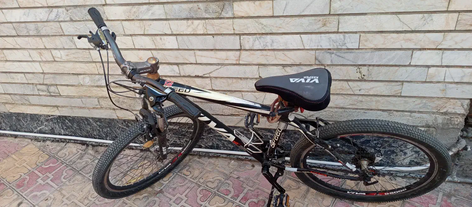 دوچرخه ویوا اسپید|دوچرخه، اسکیت، اسکوتر|نی‌ریز, |دیوار