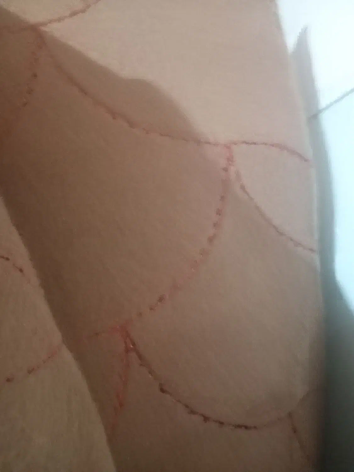 موکت 12 متری طرح دار|موکت|گلبهار, شهر جدید گلبهار|دیوار