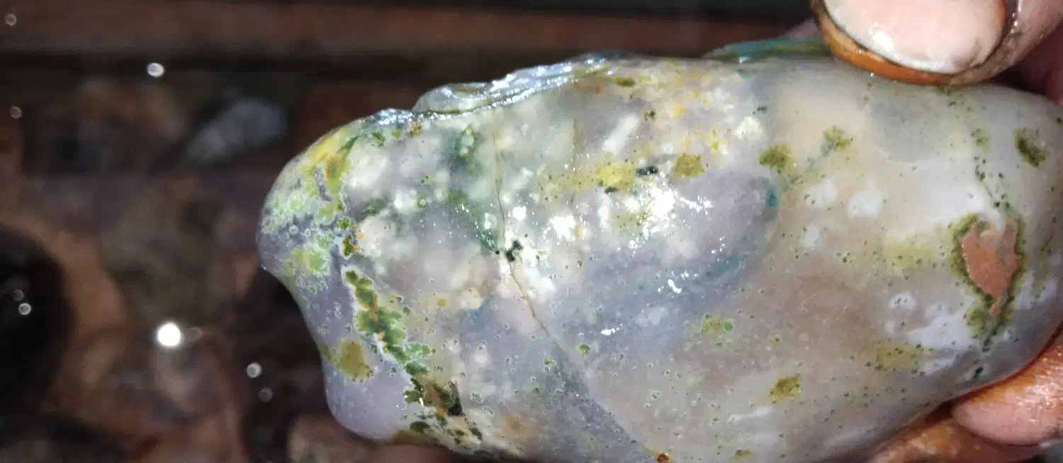 فروش سنگ شجر سلیمانی میکس دریایی|جواهرات|میانه, |دیوار