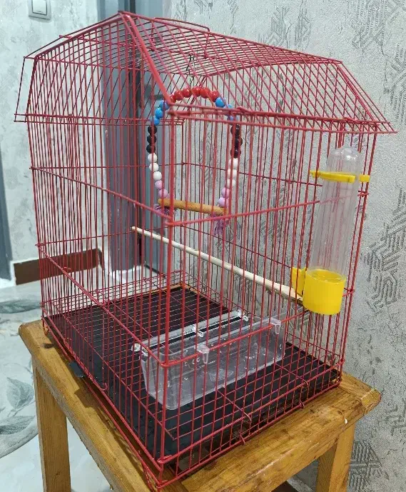 قفس|لوازم جانبی حیوانات|رشت, کوی مهر|دیوار