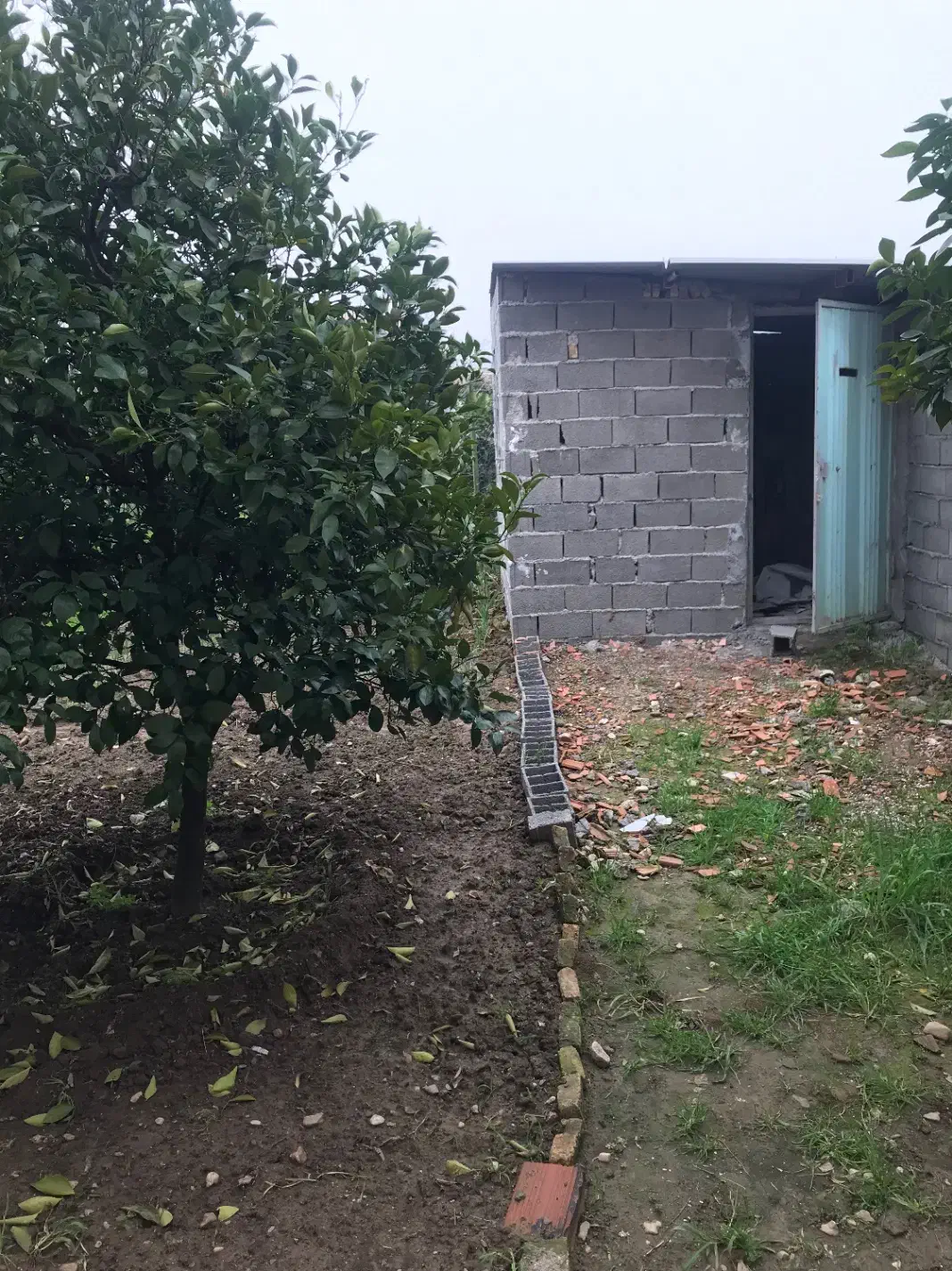 ۲۸۸ متر زمین مسکونی واقع در بهشهر روستای پاسند|فروش زمین و ملک کلنگی|بهشهر, |دیوار