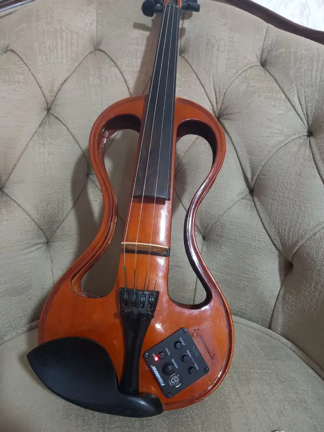 ویولون الکتریک هافنر اصل المان|ویولن|ملایر, |دیوار