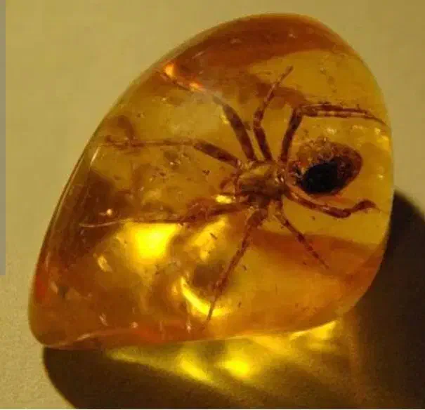 فروش وخرید سنگ|بدلیجات|کرج, خلج آباد|دیوار