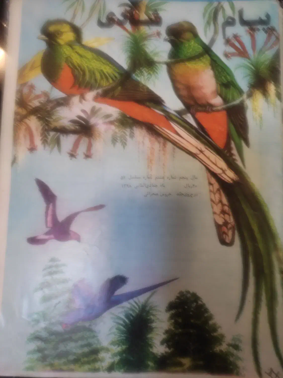 مجلات پیک شادی دهه پنجاه|مجلات|لواسان, |دیوار