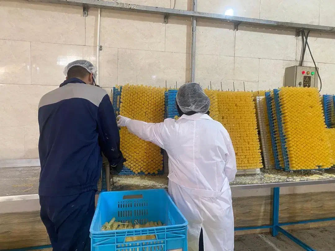 استخدام تعدادی نیرو خانم جهت کار خانه تولید نبات|استخدام صنعتی، فنی، مهندسی|رباطکریم, شهرک صنعتی زوارهای|دیوار