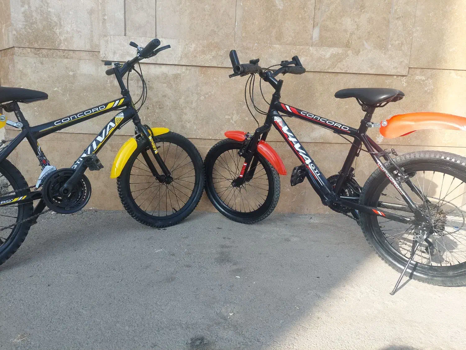 دوحرخه ۲۰ دنده ای کمک دار حرفه ای|دوچرخه، اسکیت، اسکوتر|نیشابور, بنیاد شهید|دیوار