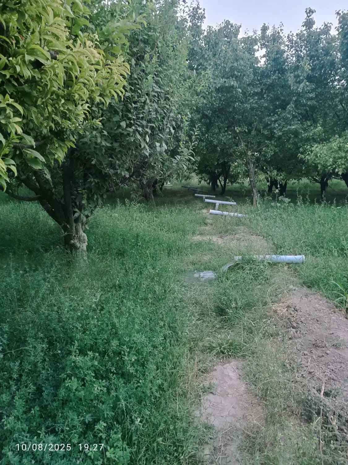 باغچه الوان و دامداری|فروش زمین و ملک کلنگی|نوشین شهر, |دیوار