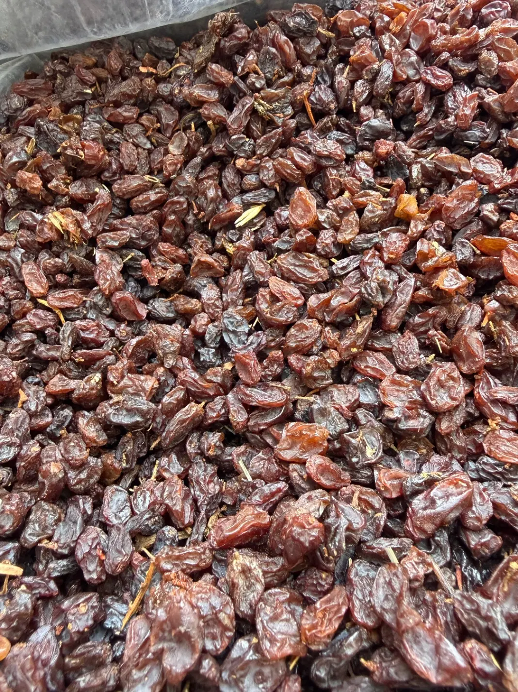 کشمش|خوردنی و آشامیدنی|نجفآباد, باغ ملی|دیوار