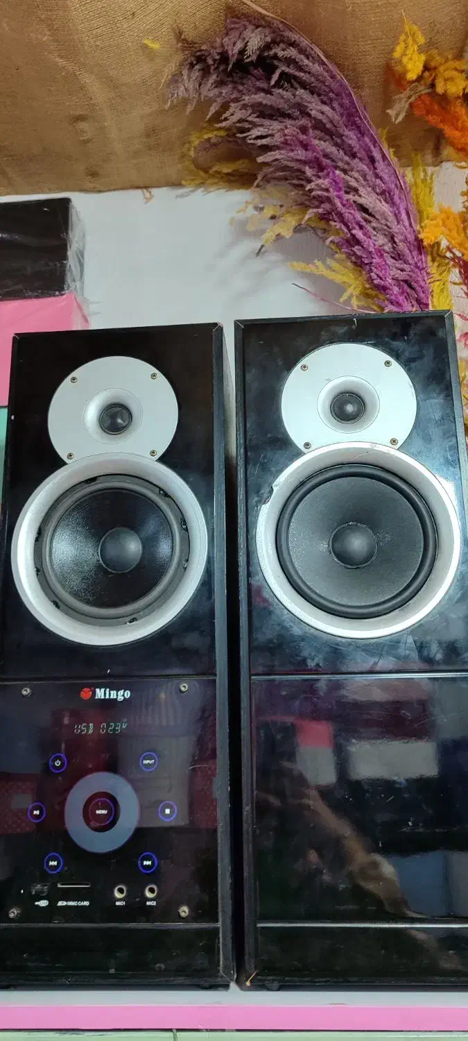 باندmingo|سیستم صوتی خانگی|گنبد کاووس, |دیوار