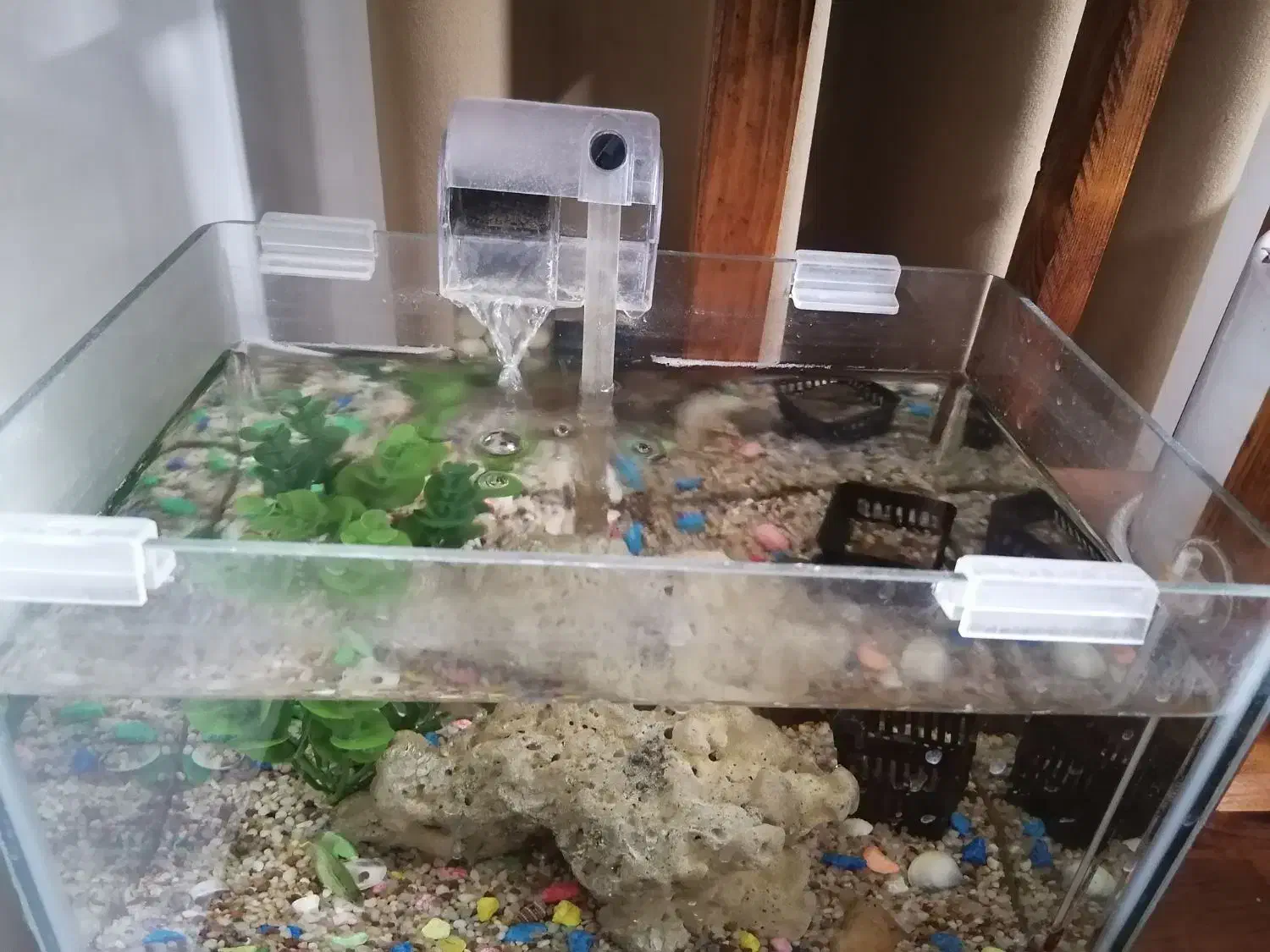 آکواریوم شرکتی|ماهی|قم, مسجد امام حسن|دیوار