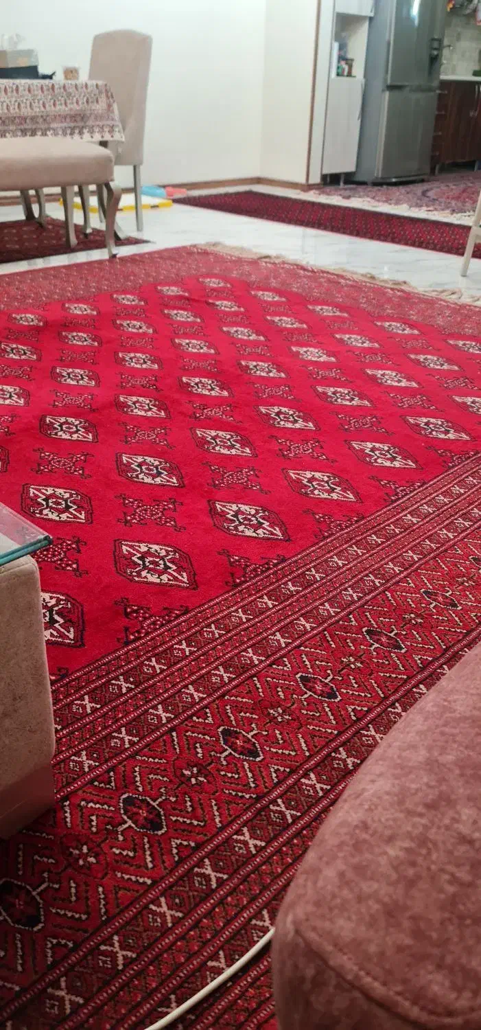 فرش دستبافت|فرش|رودهن, |دیوار