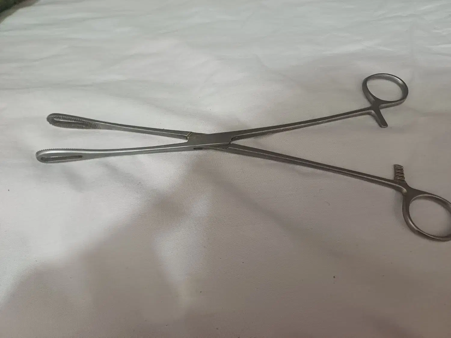 انواع پنست گالی پت وسایل درمانی|آرایشی، بهداشتی، درمانی|یاسوج, |دیوار