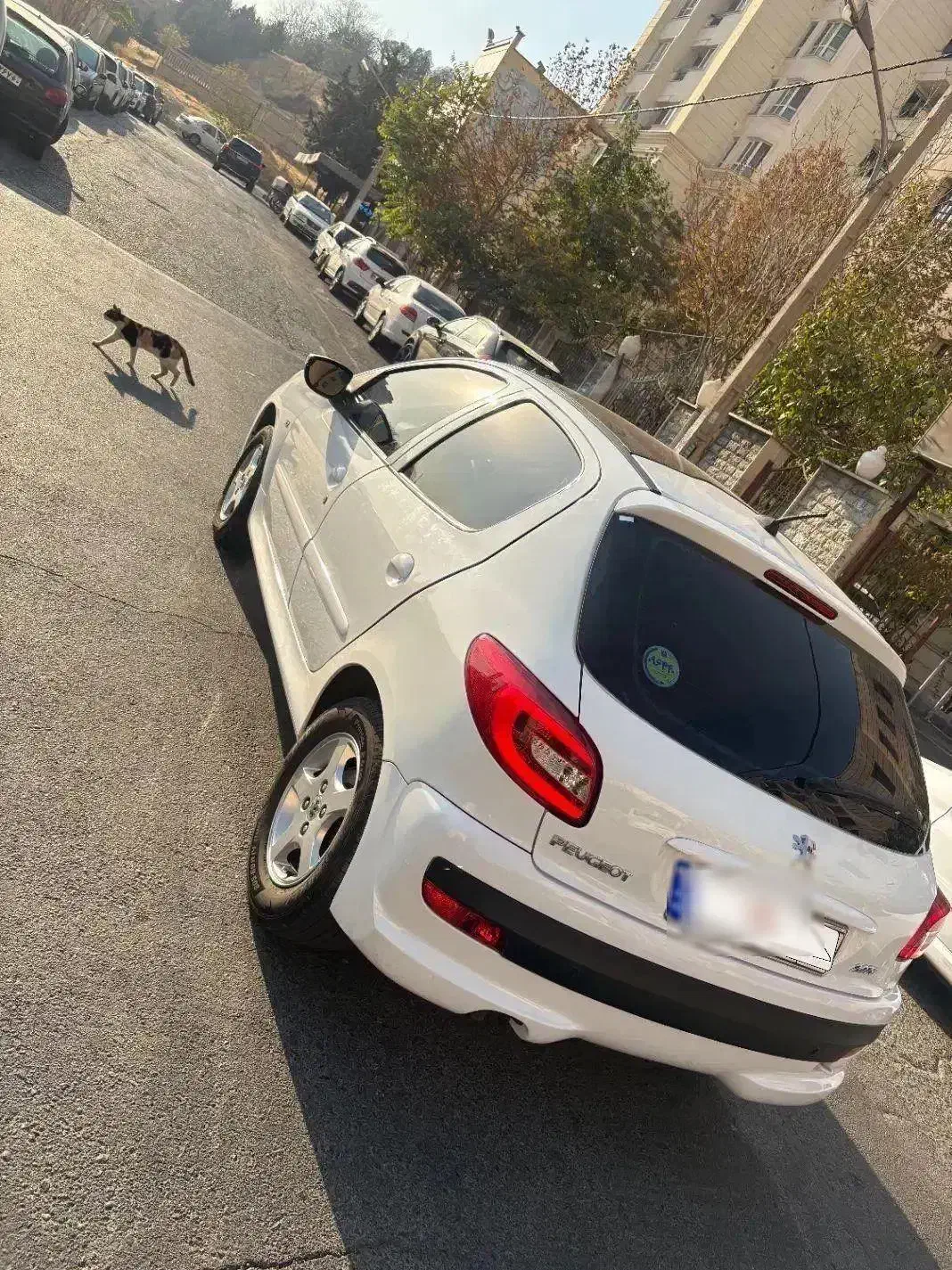 ۲۰۷ پانا ۱۴۰۲ بی رنگ|خودرو سواری و وانت|سلمان‌شهر, |دیوار