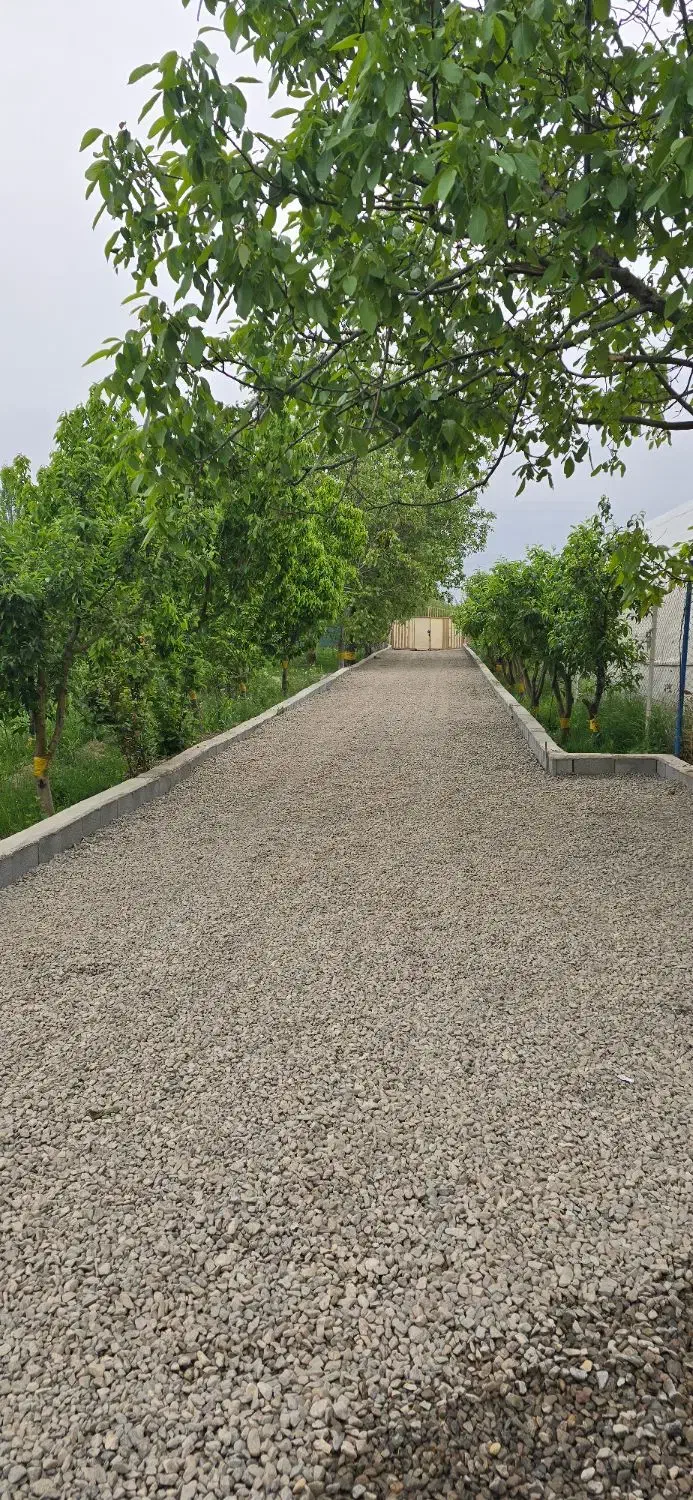 اجاره ۶۵۰۰متر سالن، ویلا، باغ جهت دامداری،کارگاه|اجارهٔ دفتر صنعتی، کشاورزی، تجاری|مرند, |دیوار