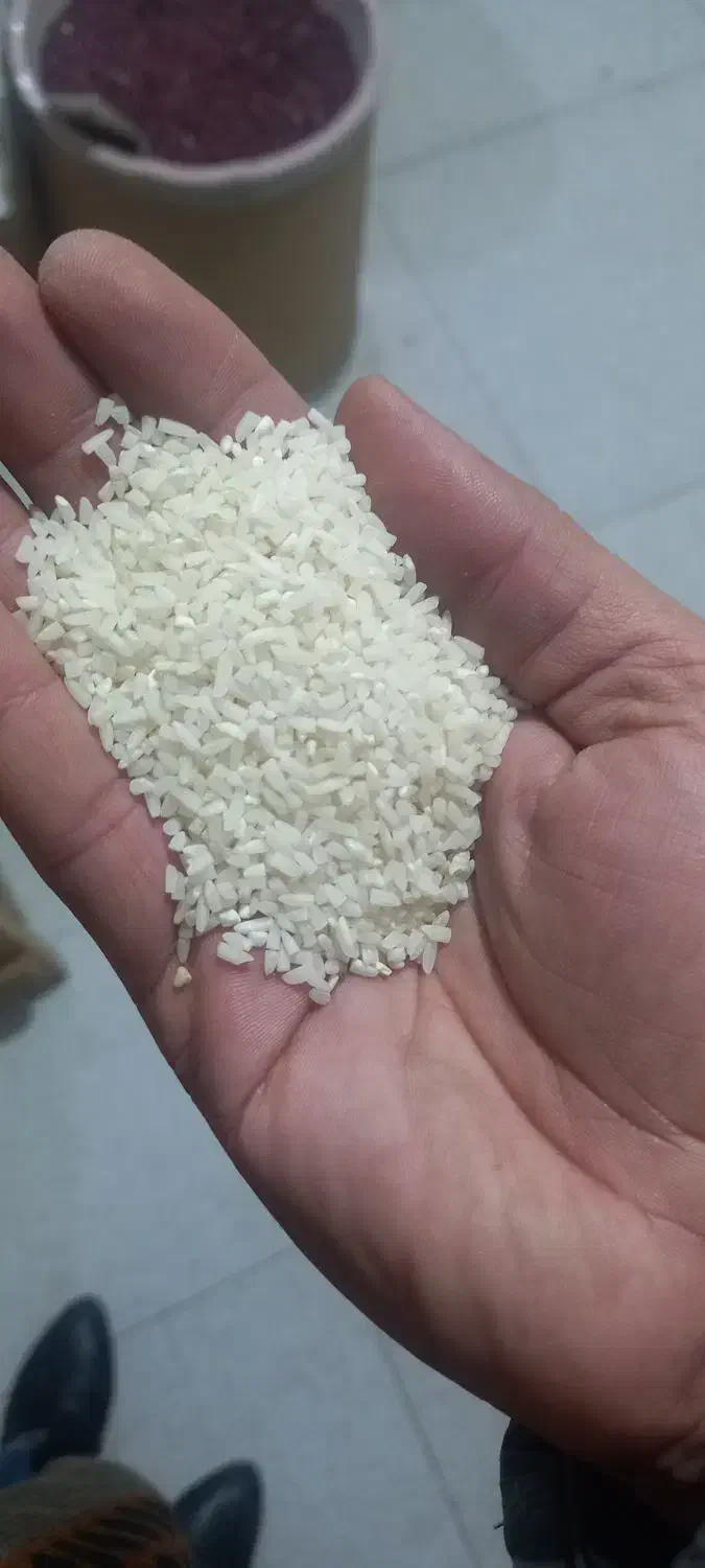 نیمدانه اعلا|خوردنی و آشامیدنی|قزوین, |دیوار