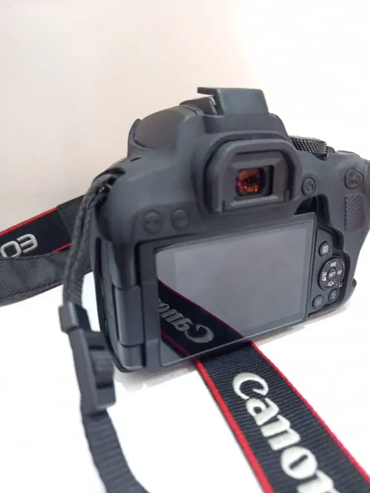 دوربین کنون 850d قیمت توافقی|دوربین عکاسی و فیلم‌برداری|شیراز, شهرک بهار|دیوار