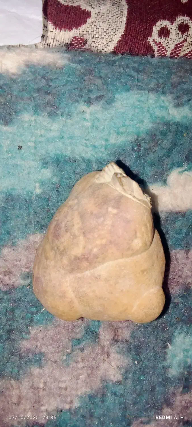 سنگ زینتی|جواهرات|آشخانه, |دیوار