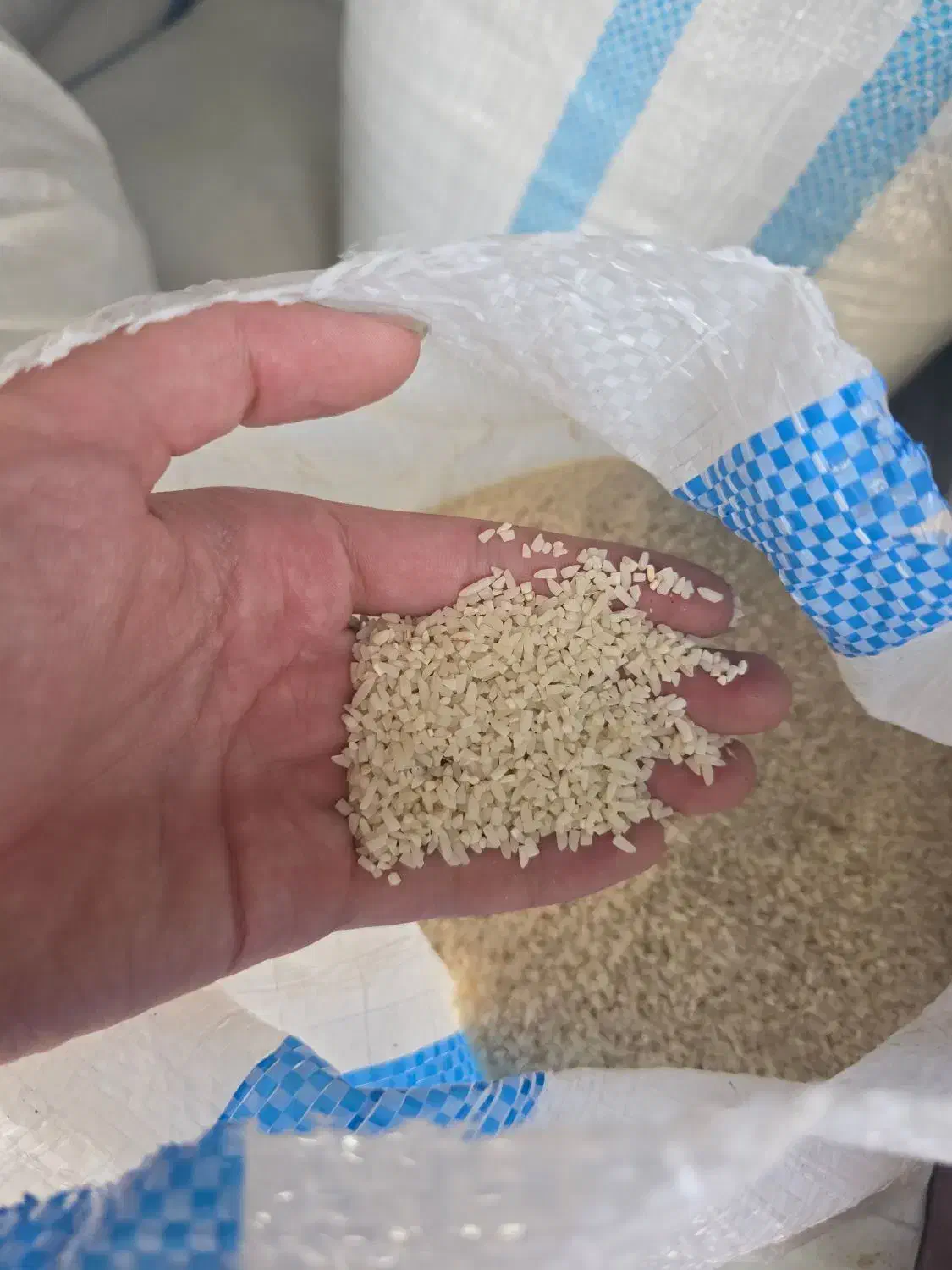 فروش انواع برنج محلی به شرط پخت|خوردنی و آشامیدنی|تهران, استاد معین|دیوار