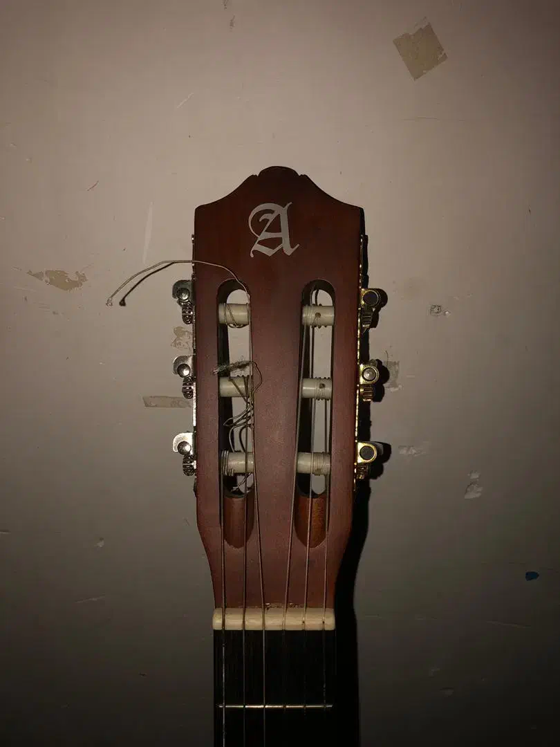 گیتار الحمبرا c1|گیتار، بیس، امپلیفایر|بندرعباس, |دیوار