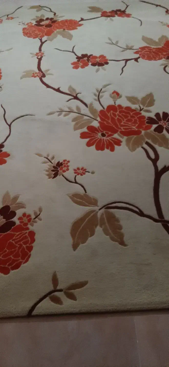 فرش ترک ۹ متری و ۴ متری|فرش|مشهد, موسوی قوچانی|دیوار