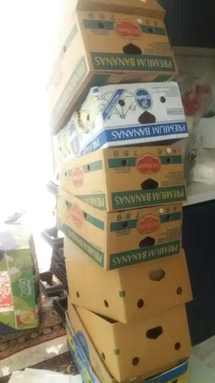 کارتون موز|ابزارآلات|همدان, |دیوار