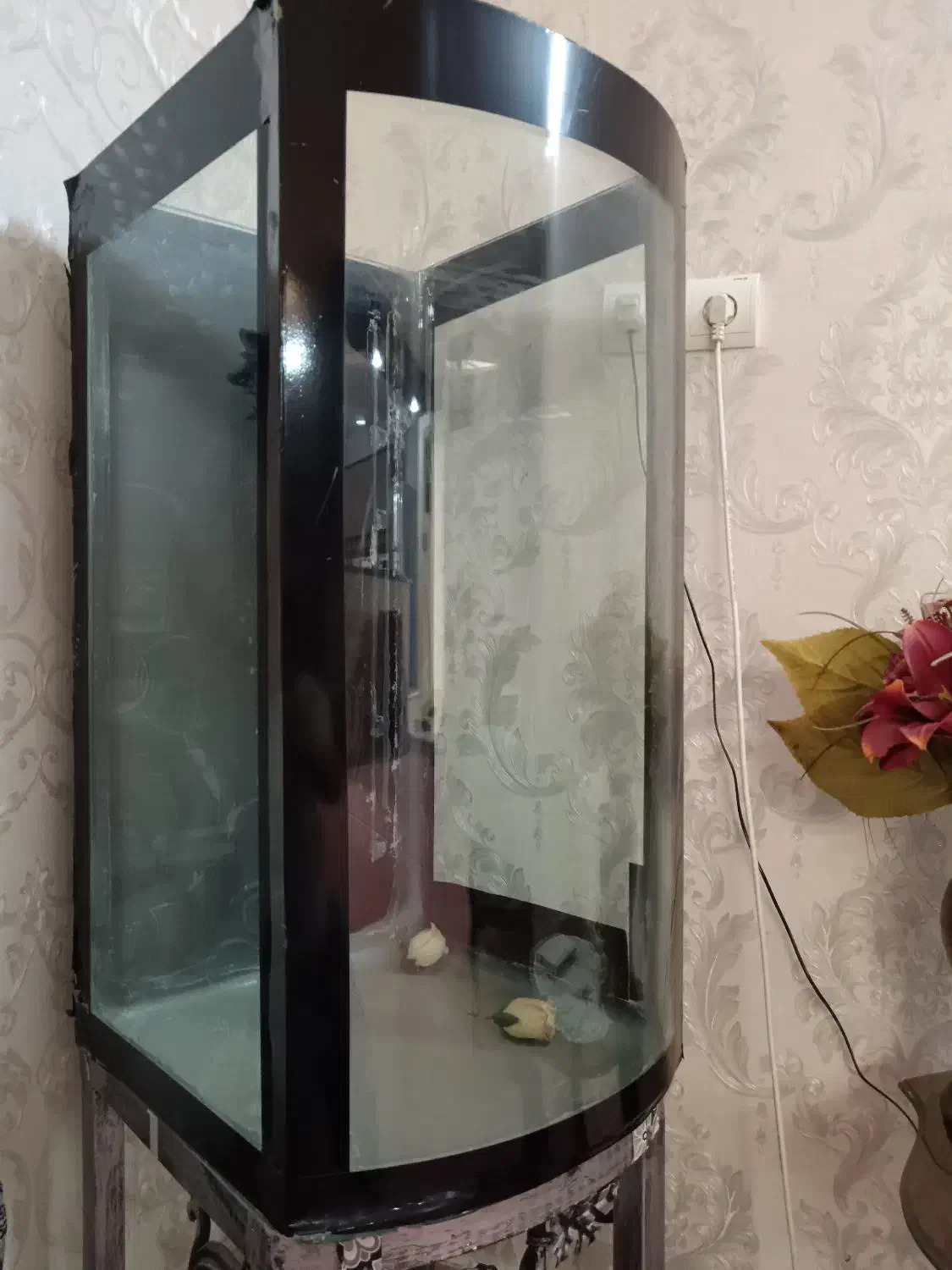 آکواریوم|ماهی|سبزوار, توحیدشهر|دیوار