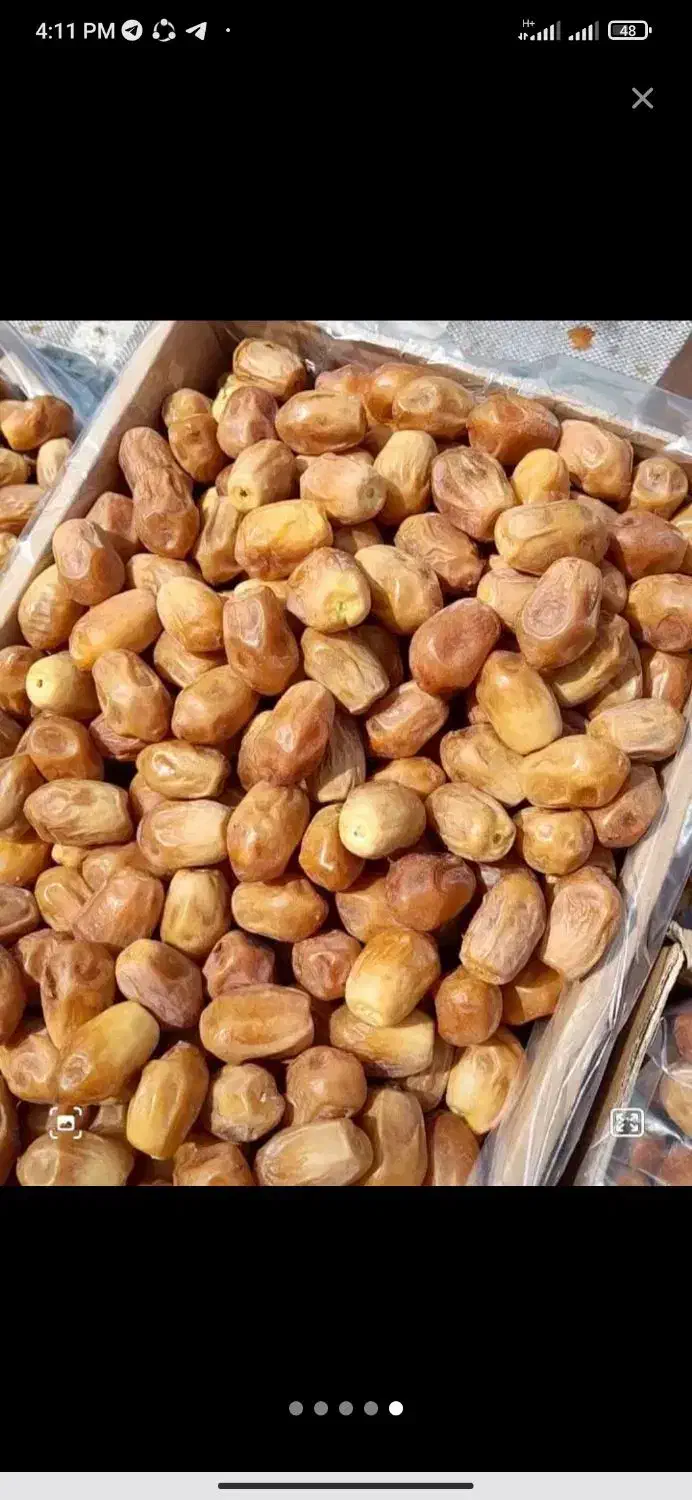 خرمای زاهدی|عمده‌فروشی|اسفرورین, |دیوار