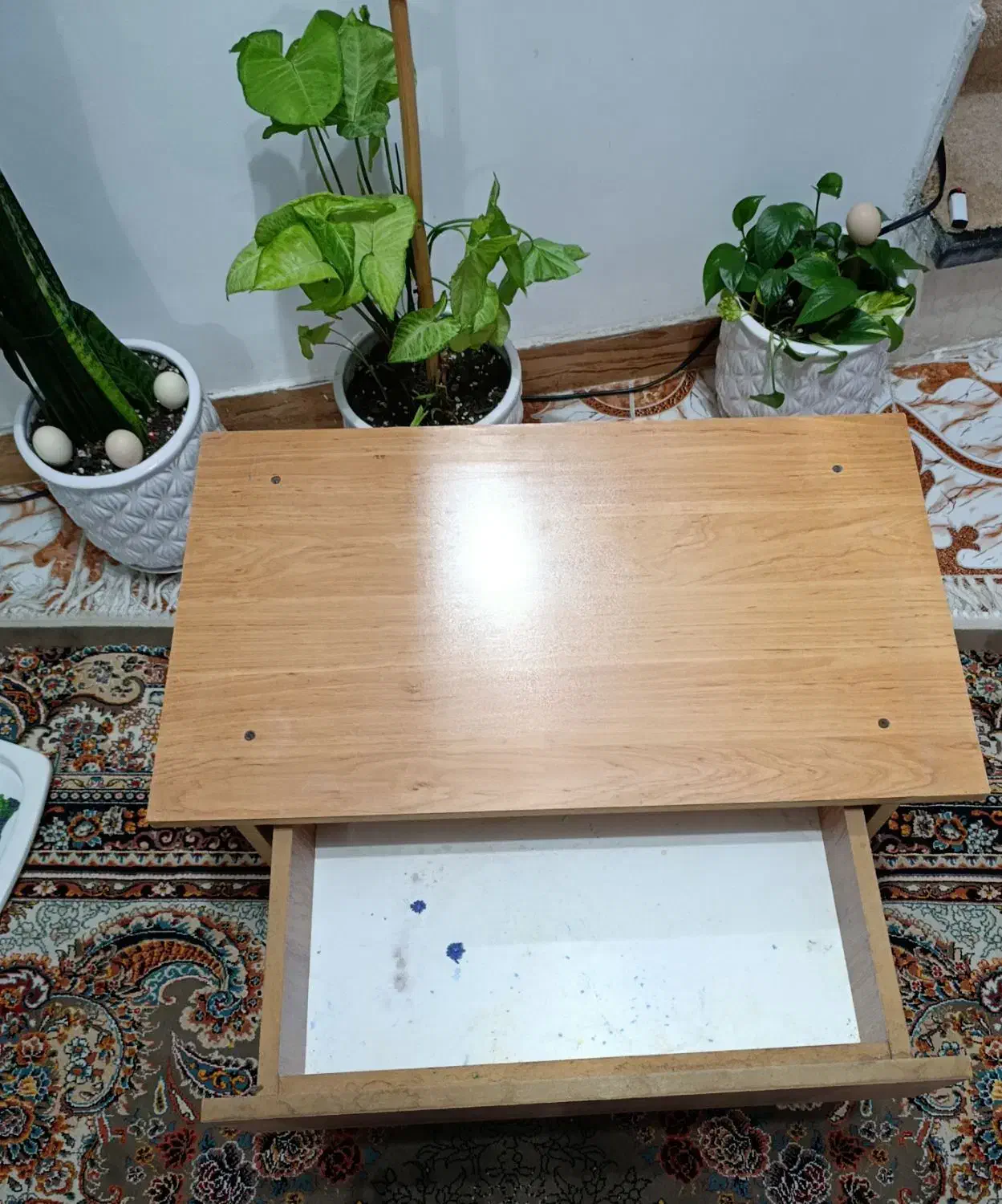 آکواریوم میز|ماهی|رشت, سلیمانداراب|دیوار