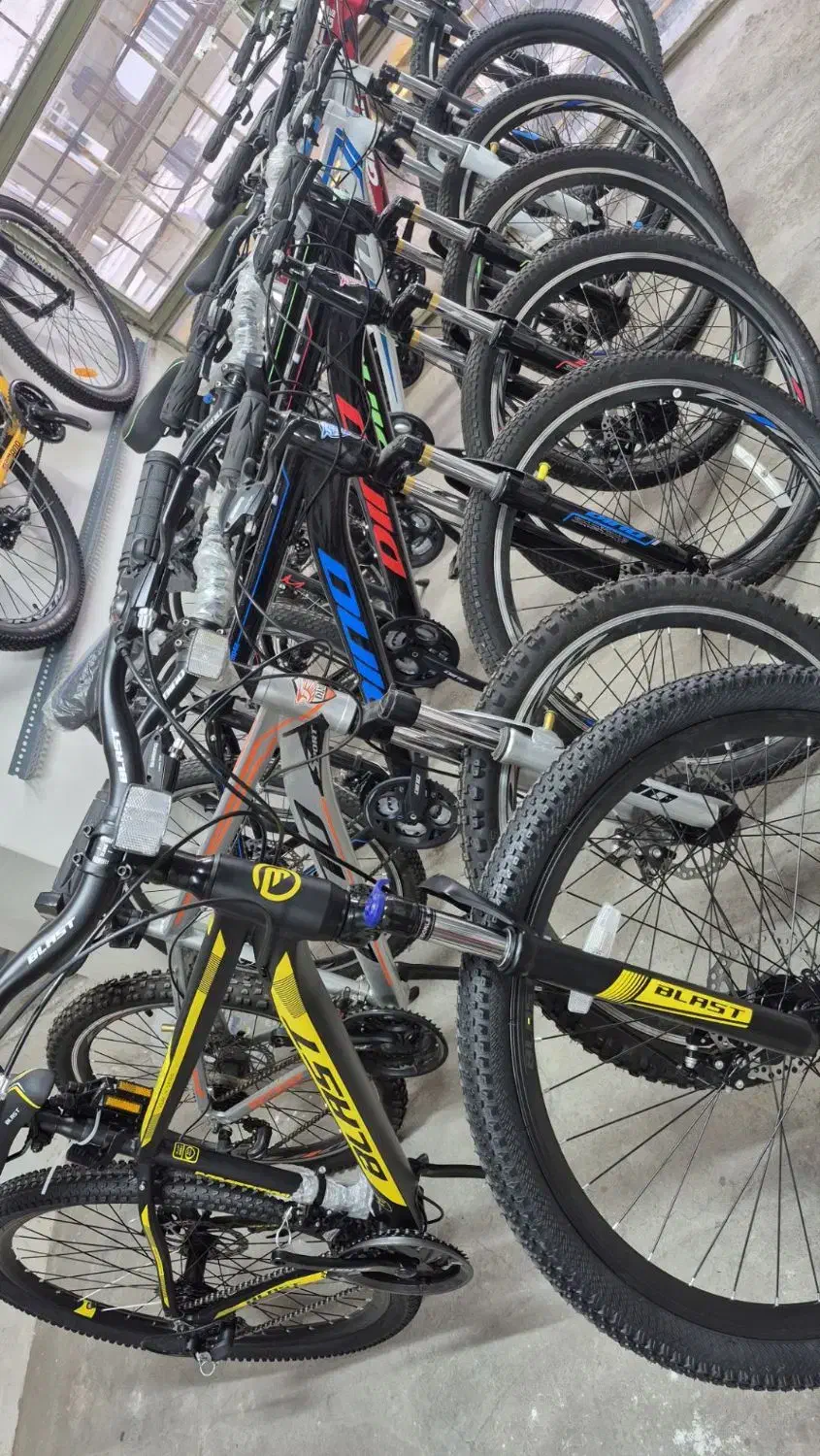 دوچرخه موتورسیکلت بایک لند|دوچرخه، اسکیت، اسکوتر|رودسر, |دیوار