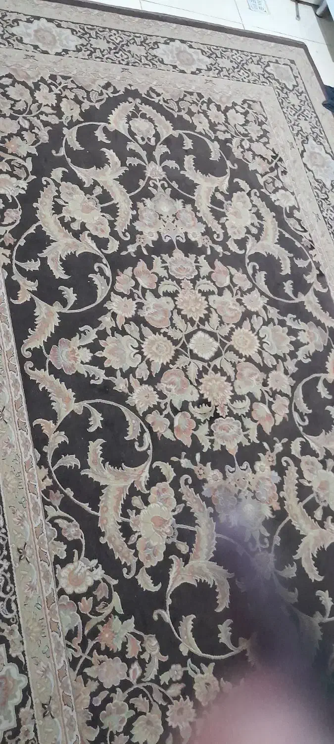 فرش گل برجسته|فرش|مشهد, آبکوه|دیوار