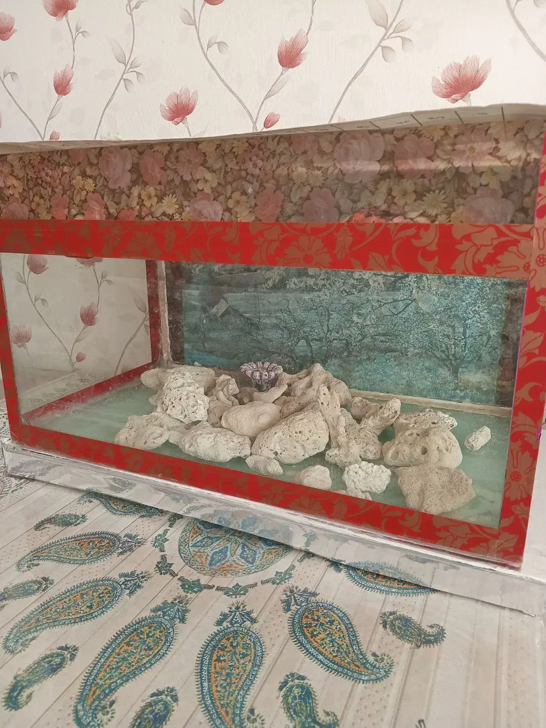 آکواریوم|ماهی|مشهد, هنرستان|دیوار