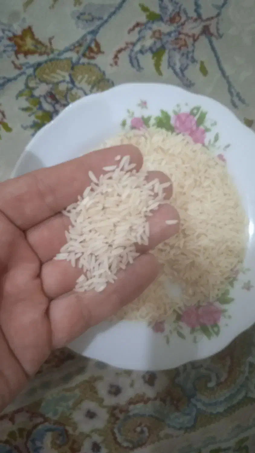 برنج هاشمی|خوردنی و آشامیدنی|رشت, آب و برق|دیوار