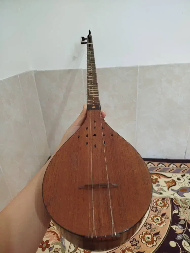 سه تار|سازهای سنتی|شیراز, مسلم|دیوار