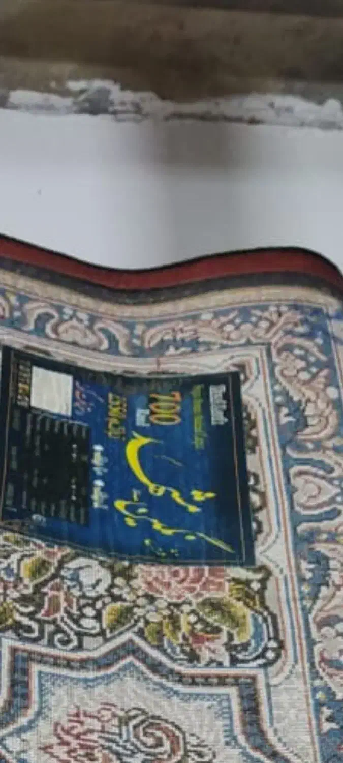 فرش نگین مشهد|فرش|شوش, |دیوار